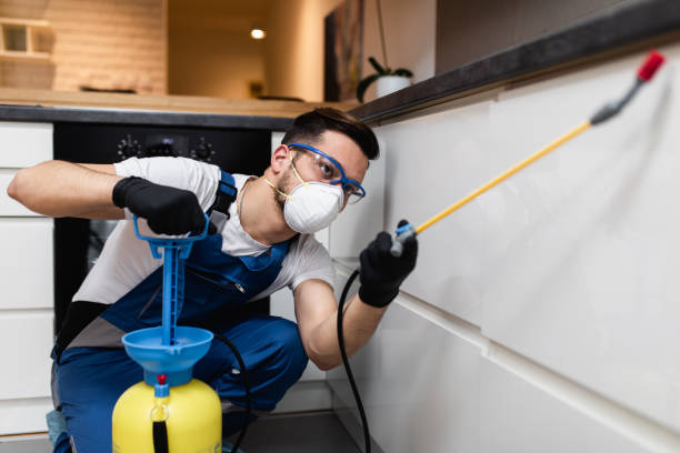 Best Pest Inspection Near Me  in Smackover, AR