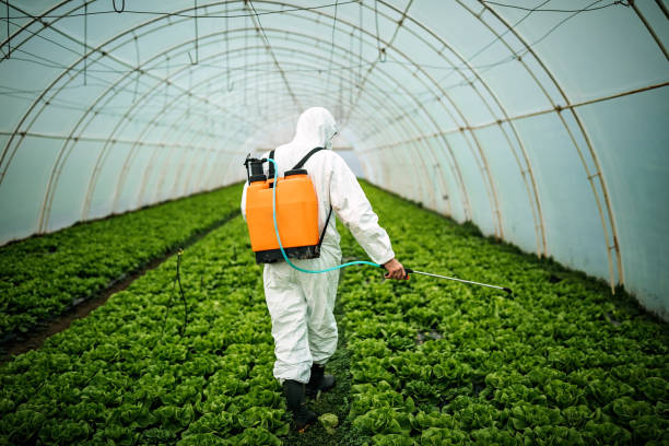 Best Mosquito Control Services  in Smackover, AR
