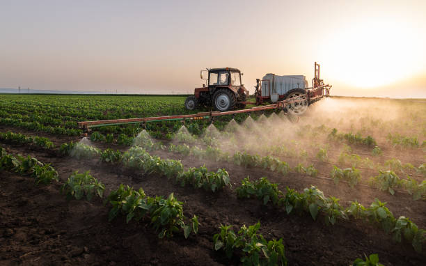 Pest Control for Restaurants in Smackover, AR