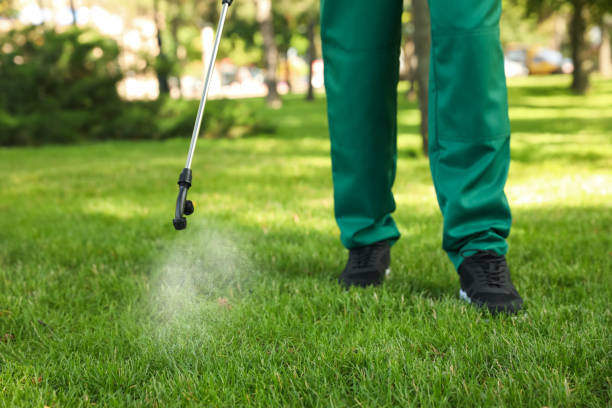 Best Pest Removal Services  in Smackover, AR