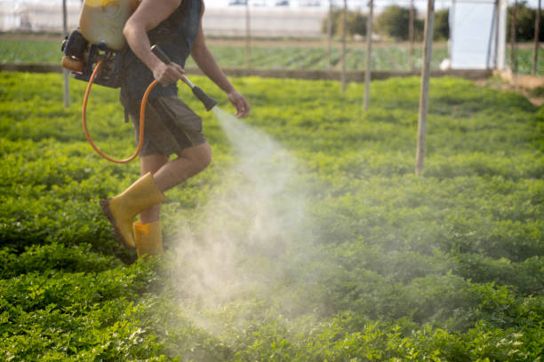 Trusted Smackover, AR Pest Control Experts
