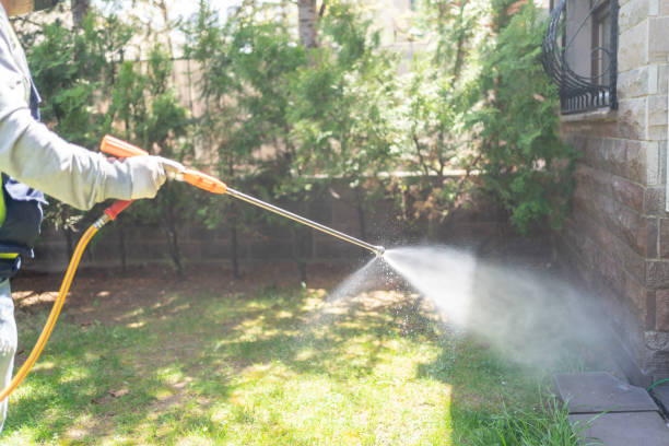 Flea Control Services in Smackover, AR